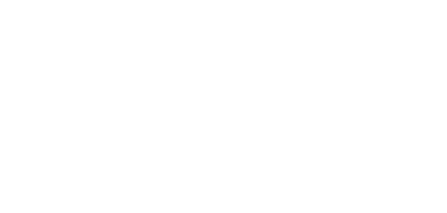 Observador